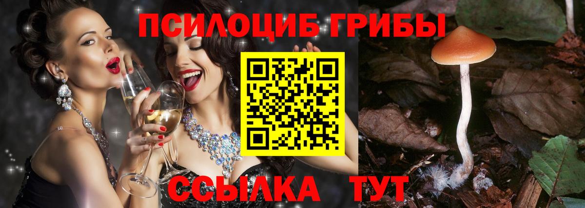 Галлюциногенные грибы прущие грибы  Галлюциногенные грибы ЛСД  Оренбург  Вход с VPN 